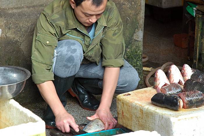 Ein Mann präpariert Fische.