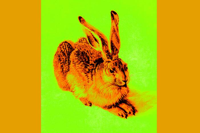 Ein gezeichneter sitzender Hase - orange auf leuchtend grünem Grund.